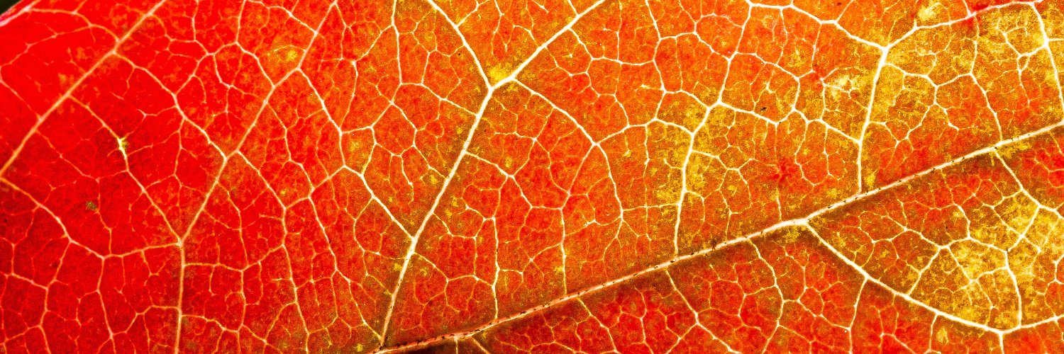 Megan | Ginger ASMR banner