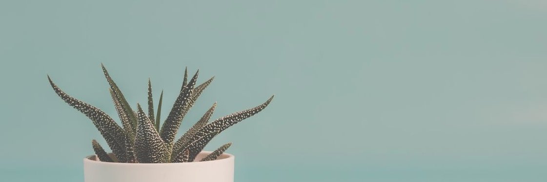 NotchAtNora's profile banner image