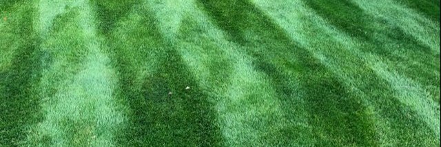 TheMillTurf's profile banner image