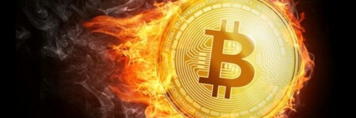 yurimar81's profile banner image