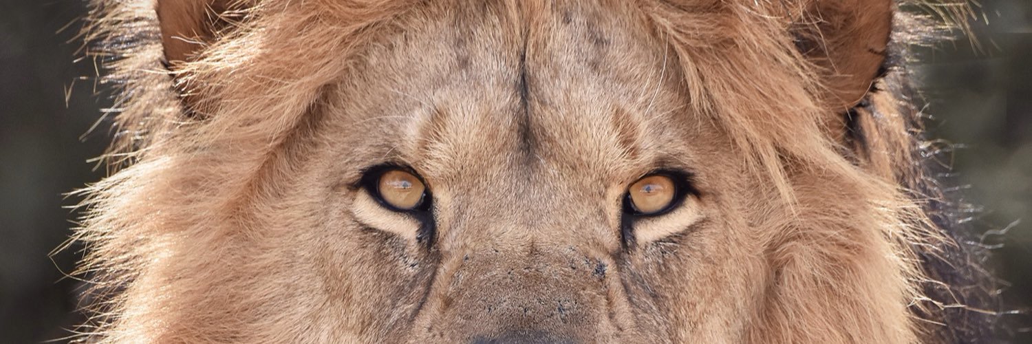 MaryMedrec1's profile banner image