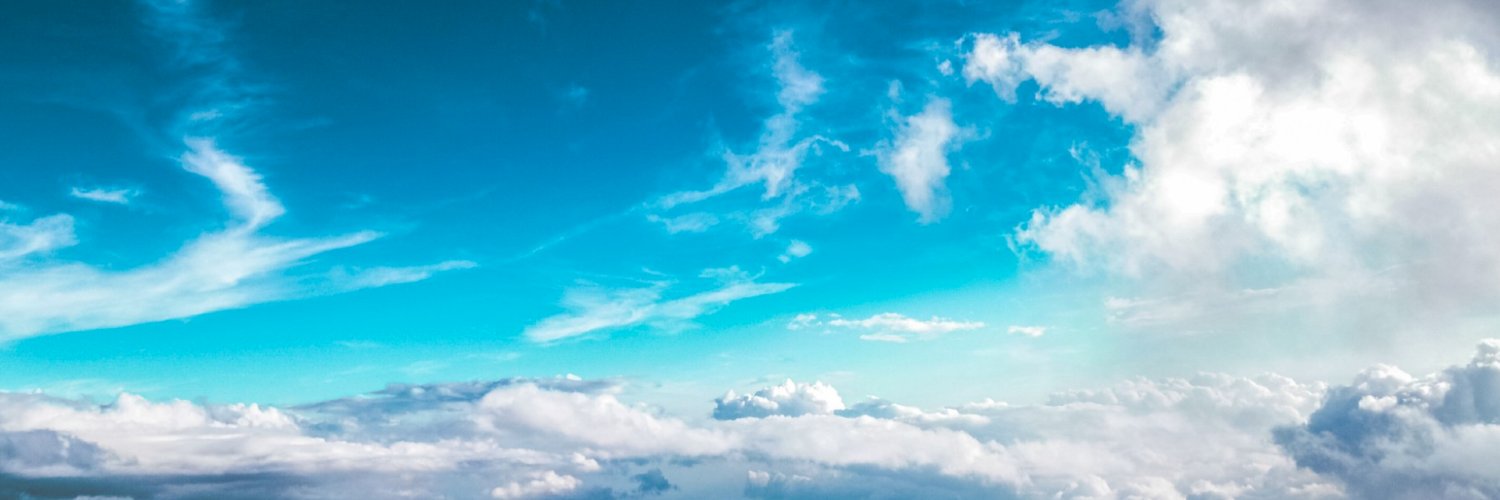 Taro L. Saito banner