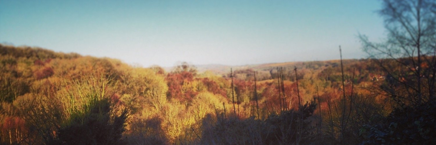 jameszonko's profile banner image