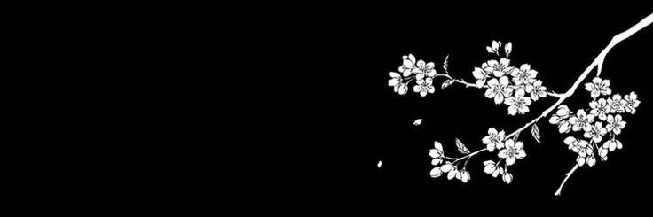 𑁯͜ᰍ 𝘇𝘂𝗻𝘆 | melody of secrets. banner