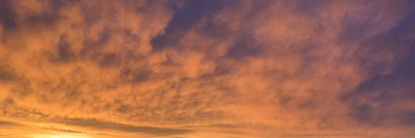 fewhodl Profile Banner