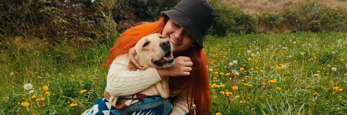 dani banner