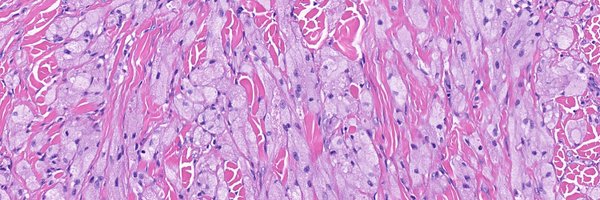 kiko4docs Profile Banner