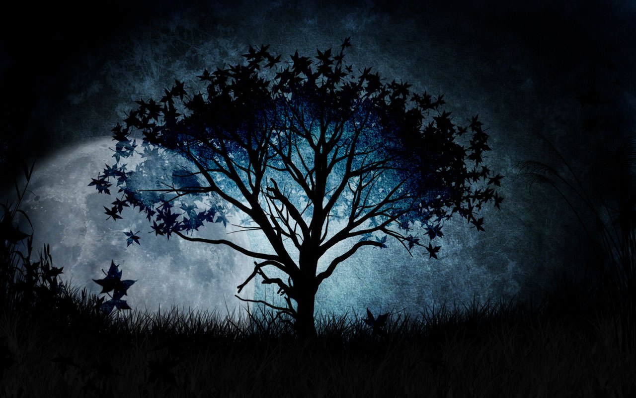 SaintSapiny's profile banner image