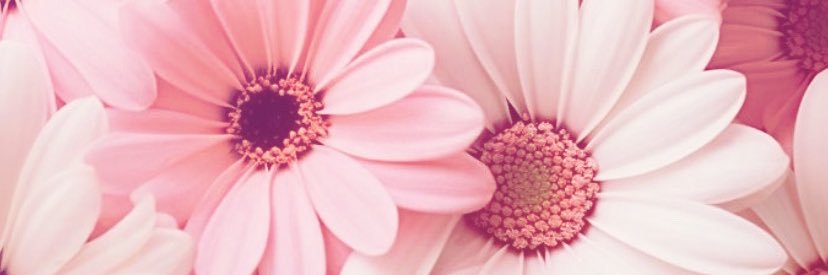 kattx28's profile banner image