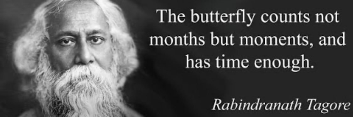 Sniya Sudhakar banner