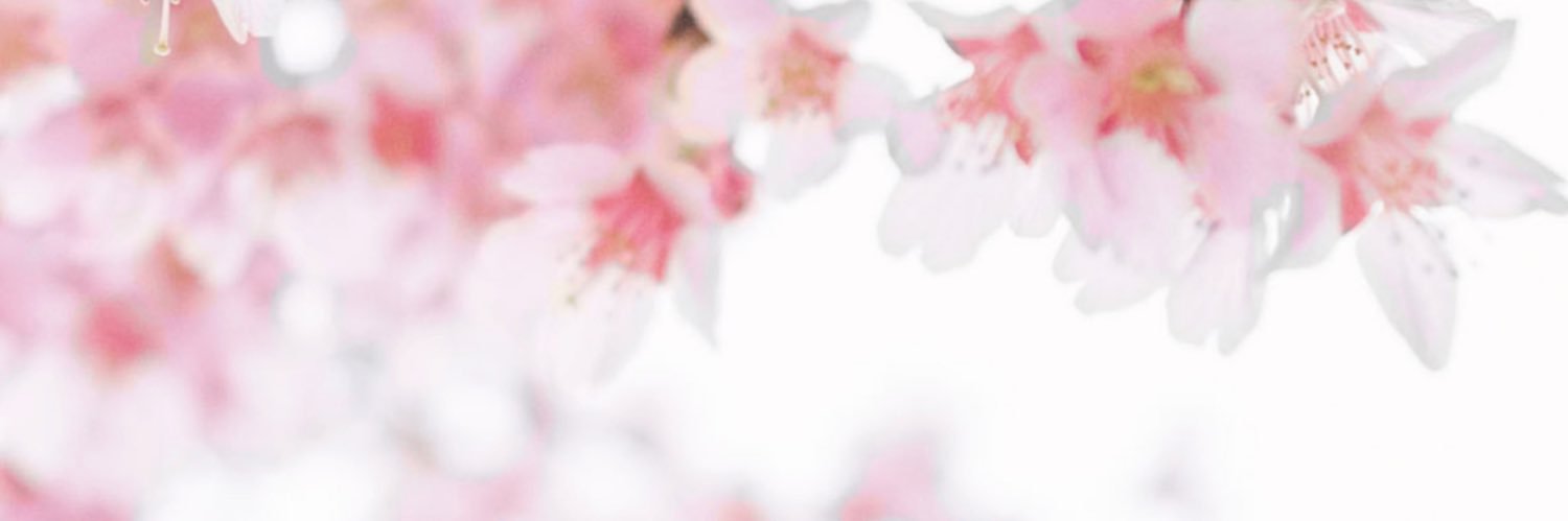 SDSanderson's profile banner image