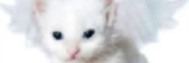 hiiihellohi1124 banner
