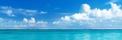 はりい banner