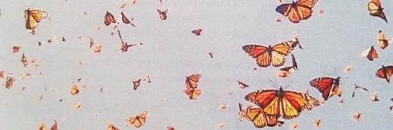 Kni ☆ banner