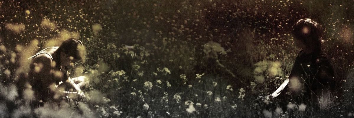 julia 🐈‍⬛ banner