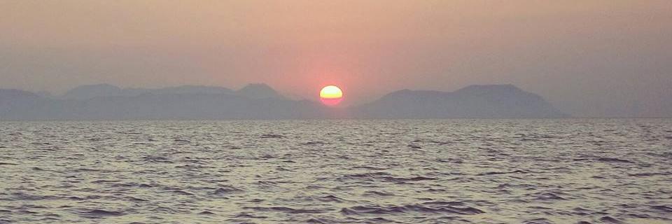ozgeilkin's profile banner image