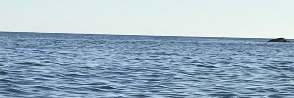 smoralesconde Profile Banner