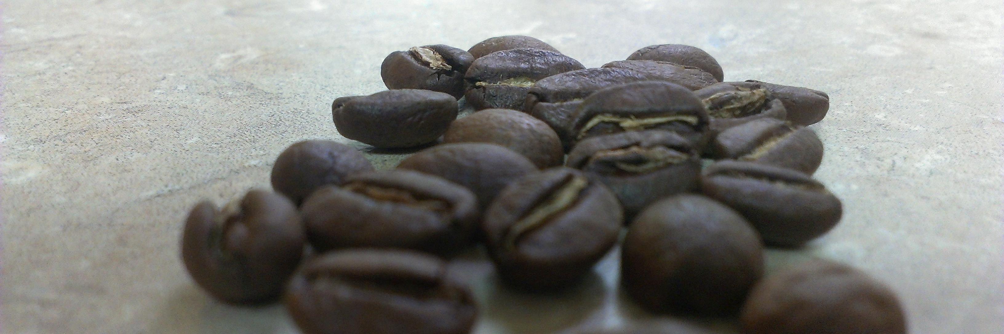 ReverbCoffee's profile banner image