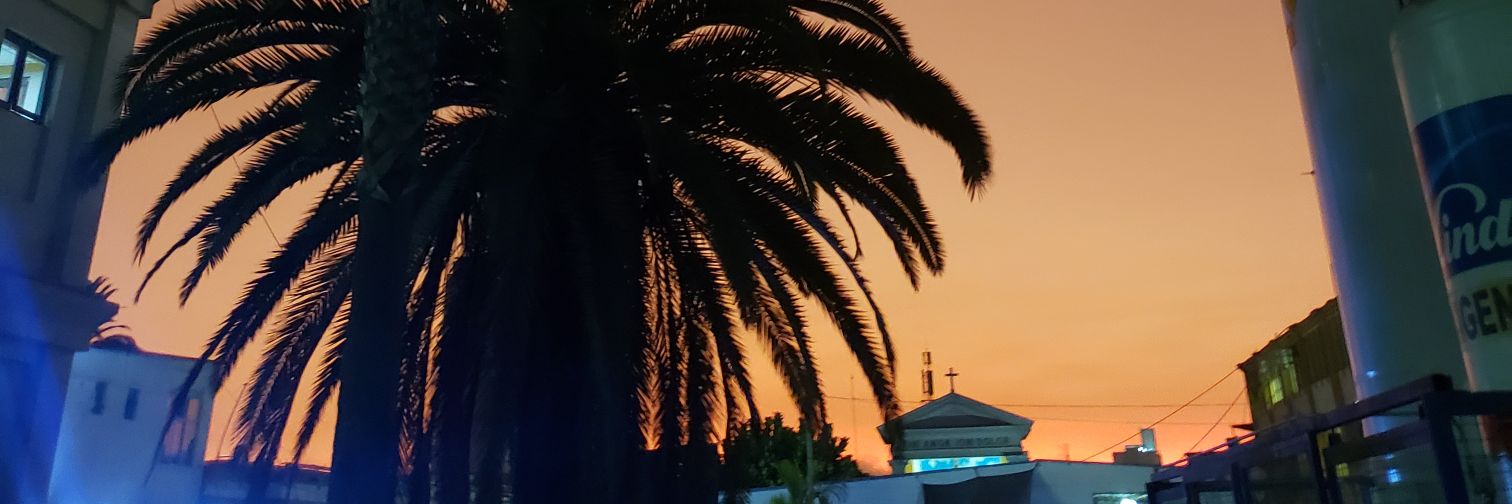 AmorettiStefani's profile banner image