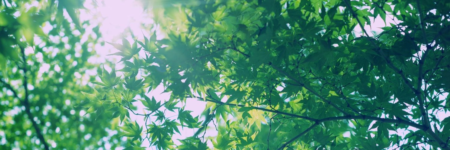 Yuusuke56's profile banner image