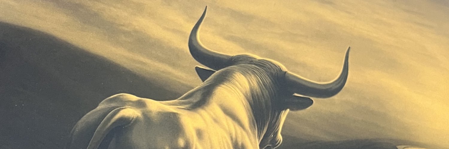C_S_Roth's profile banner image