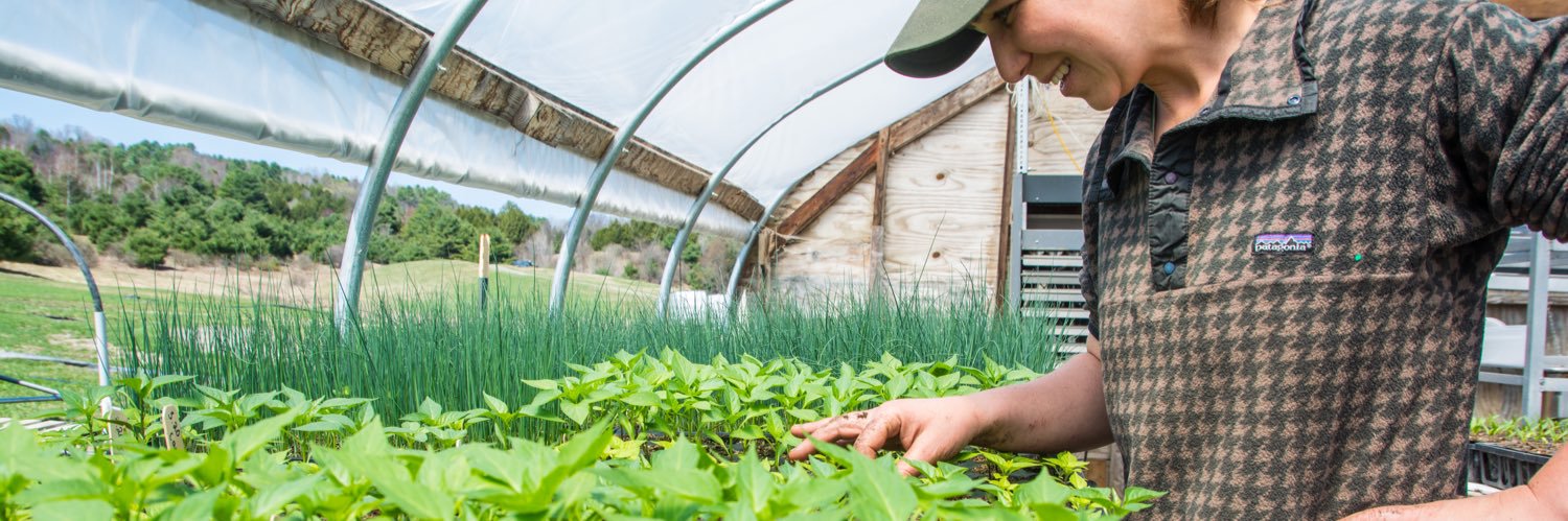Northeast Organic Farming Association of Vermont banner
