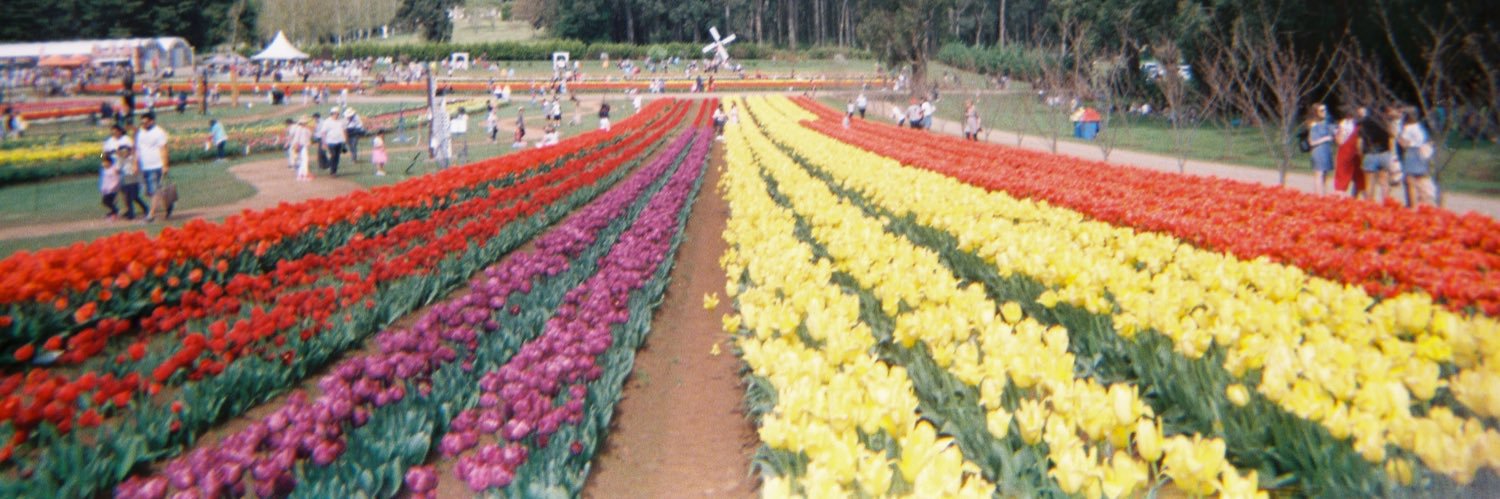 beatrixchin45's profile banner image