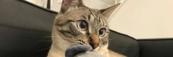 project_hisa Profile Banner