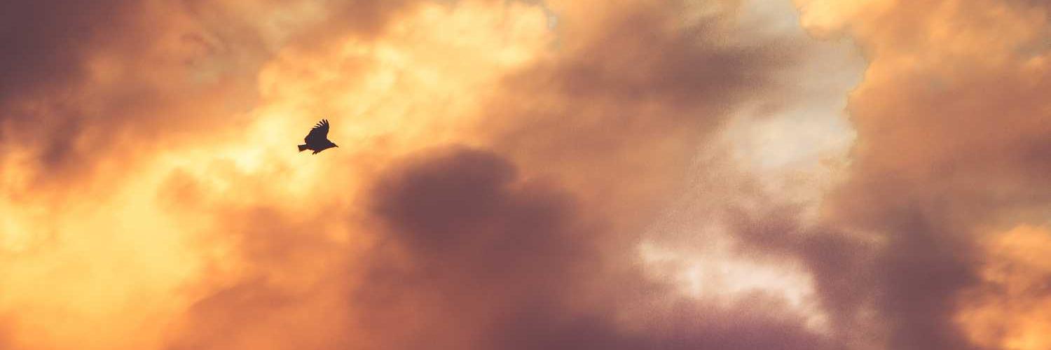 hhooda33's profile banner image