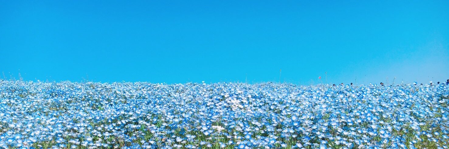 obaka_SH's profile banner image