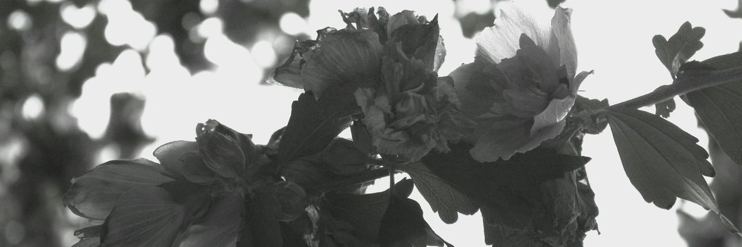 Fernandez151995's profile banner image