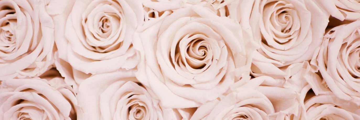 SacredBellaRose's profile banner image