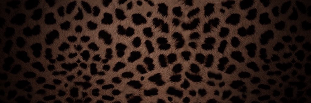 N A T A L I E banner