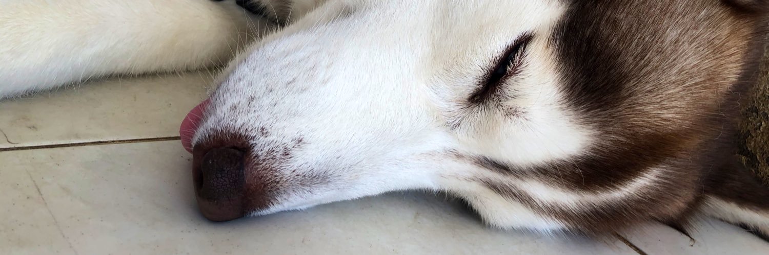 สตรอง banner