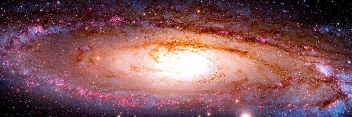 CeCe 🇺🇸🌍✌🏻🧘‍♀️🌺 banner