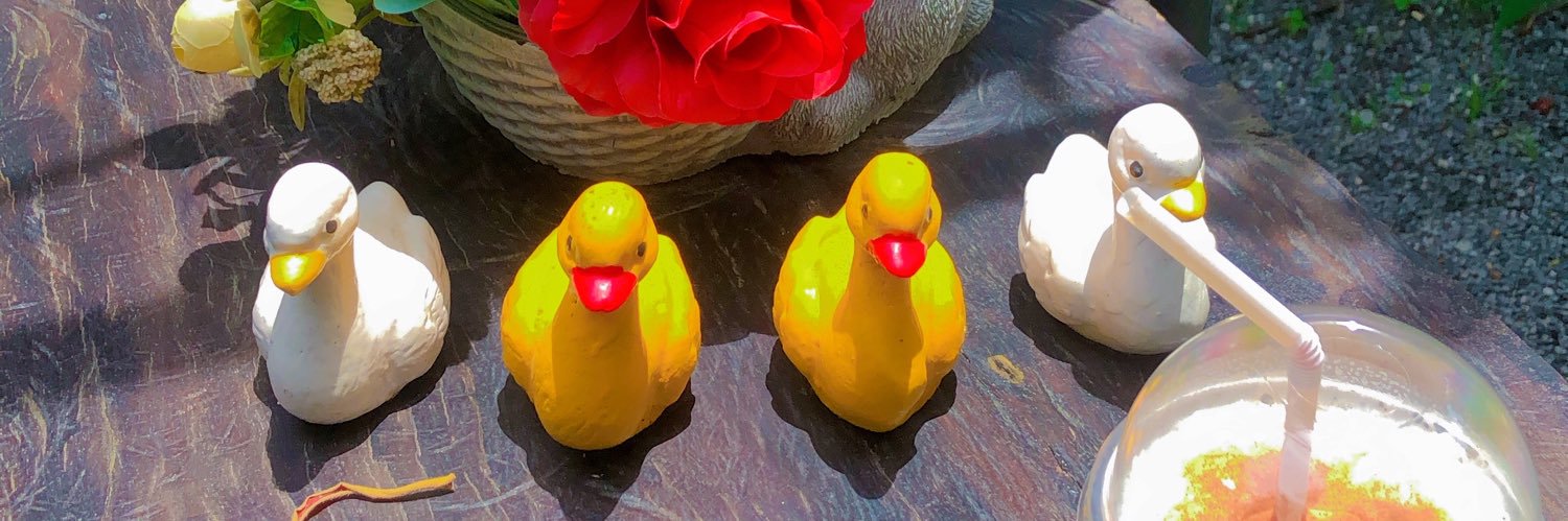 dดีdyเดย์ banner