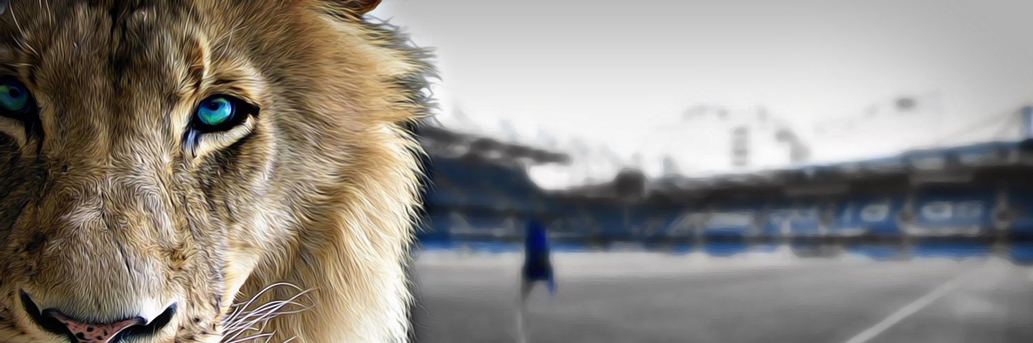 bundids4evr's profile banner image