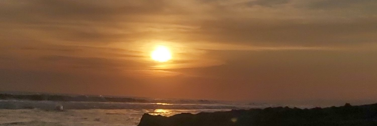 marioleonel1511's profile banner image