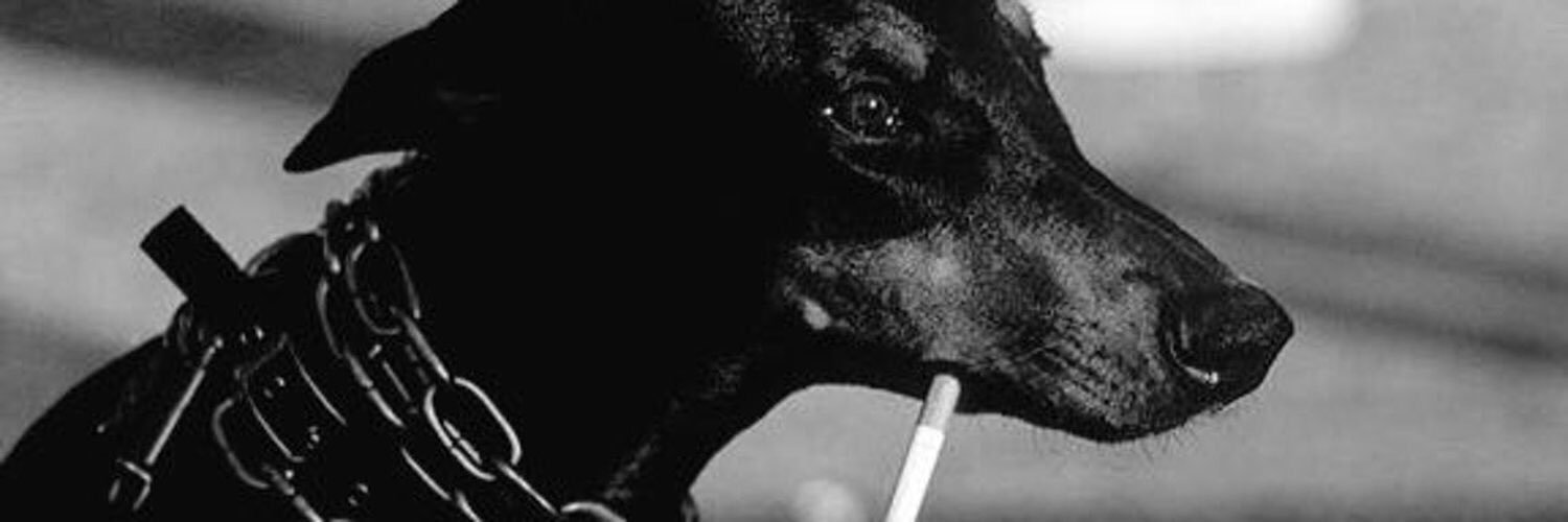 jesse banner