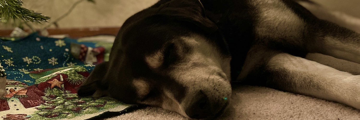 DRepschlaeger's profile banner image