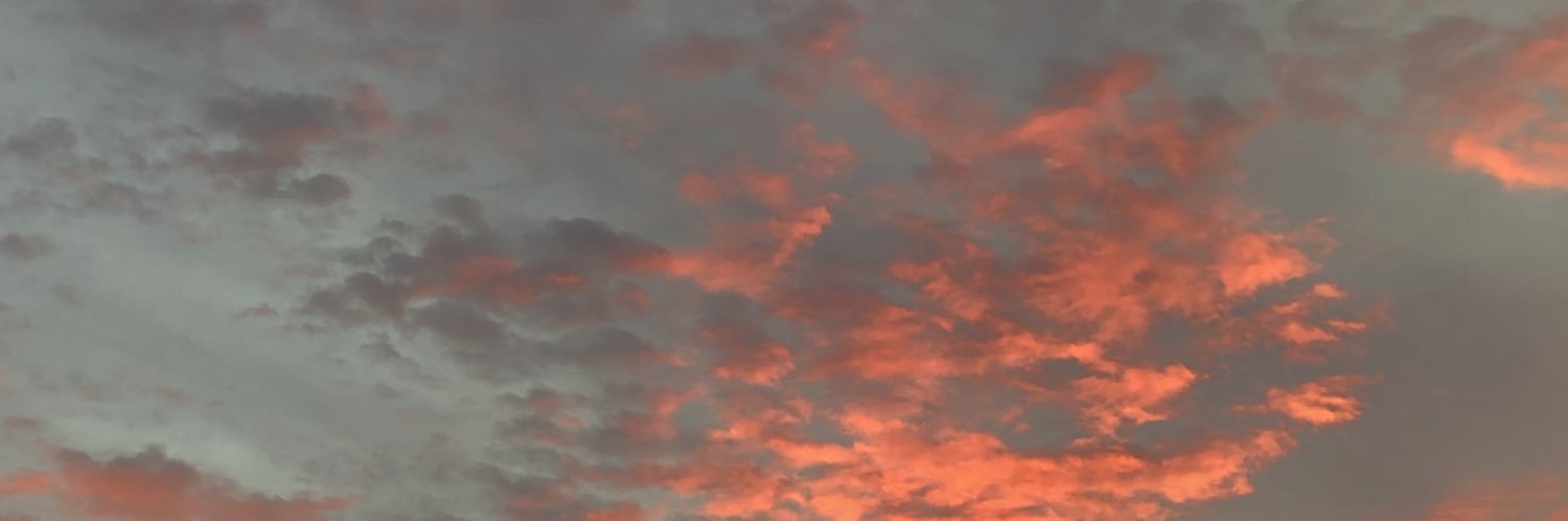 ødegaardism banner