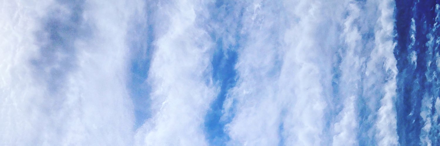 BroylesJenny's profile banner image