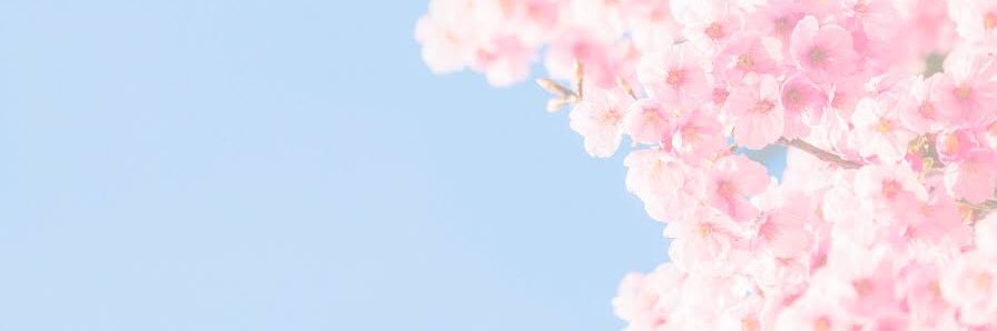 . dαni ♡ Z5 banner