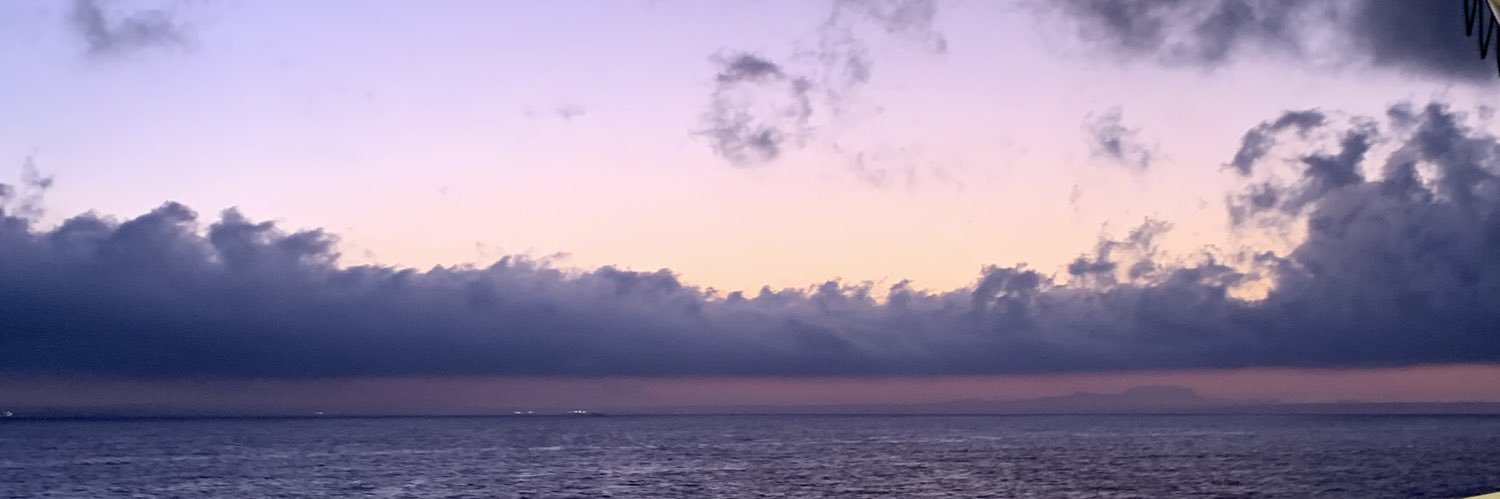 nes_she's profile banner image