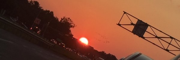 cinyyanae Profile Banner