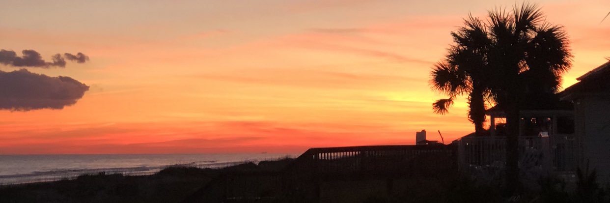 Caroline_Davidd's profile banner image