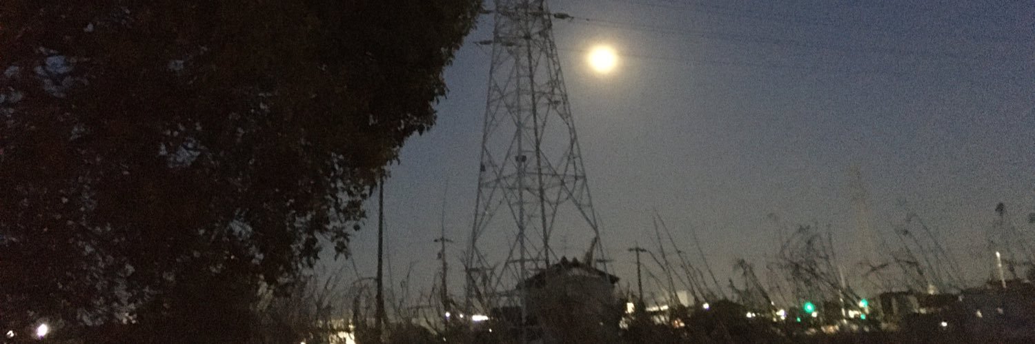 doglookingmoon's profile banner image