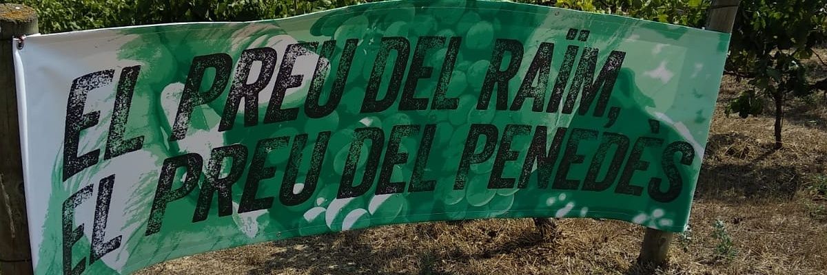 JVP-Joves Viticultors banner