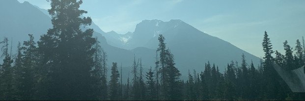 Matthew Devaney banner