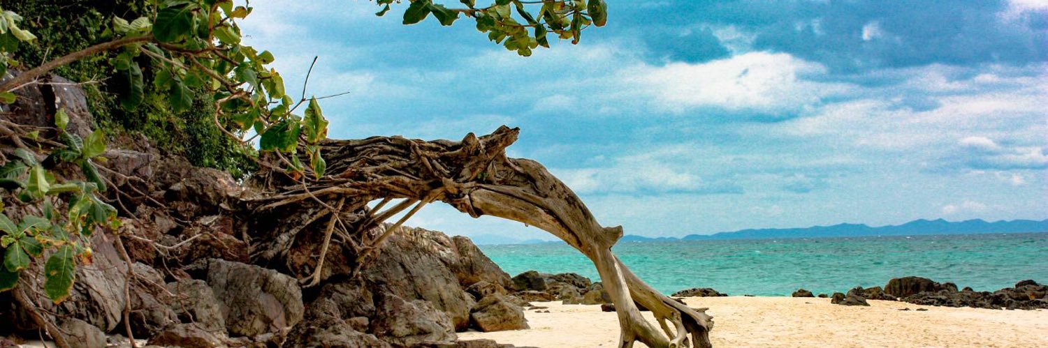 Vladimir Runjajic banner